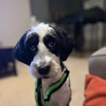 Barb Hamilton Ebert - @barb.ebert.9 - Instagram