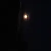 barbe_bye - @barbe_bye - TikTok