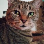 Barb Edwards - @barb.edwards7 - Instagram
