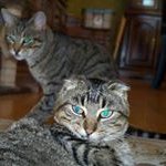 Barb Edwards - @barbetteee - Instagram