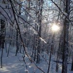 Barb Edwards - @barb.edwards.50 - Instagram