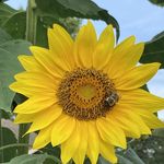 Barb Edwards Dyson - @dysonbarb - Instagram