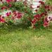 Barb Egolf - Facebook