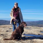 Barb Ellis - @baellis3656 - Instagram