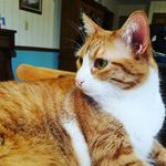 Barb Ellis - @barbells714 - Instagram