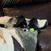 Barbara Ellis - Facebook