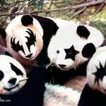 Barb Emery - @barb.emery62 - Instagram