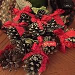 Barb - @barb_engelhart - Instagram