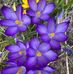Barb Ernst - Facebook