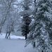 Barb Ernst - Facebook