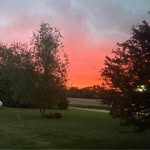 Barb Evenson - @barbevenson - Instagram