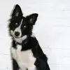 Barb Levenson - @barb.levenson - TikTok