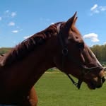 Barbara Evenson - @kingster343 - Instagram