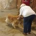 Barb Farmer - Facebook