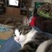 Barbara Farrell - Facebook