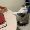 Слоумо 👻 - @barbarafast - TikTok