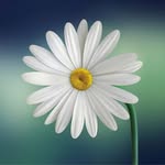 Barb Fiddler - @fiddlerbarb - Instagram
