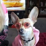 Barbara Fiddler-Pelletier - @fiddlerpelletier - Instagram