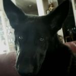 Barb Field - @barb.field - Instagram