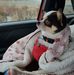 Barb Field - Facebook