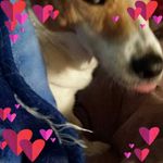Barbara Barfield - @barb.field.bb - Instagram