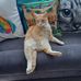 Barbara Field - Facebook
