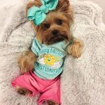 Barb Finley - @barb.finley.737 - Instagram