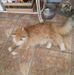 Barb Fitzpatrick - Facebook