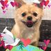 Barb Fitzpatrick - Facebook