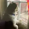 Barbara Fitzpatrick - @barbara.fitzpatri4 - TikTok