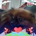Barbara Flack - Facebook
