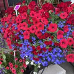 Barb Fleck - Facebook