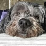 Barb Fleming - @bjfstraightup - Instagram