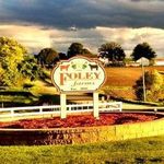 BARB FOLEY - @bfoley3252 - Instagram