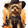 Barbara Foley588 - @barbarafoley588 - TikTok