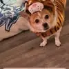 Barbara Foley - @barbara.foley49 - TikTok