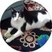 Barb Foote - Facebook