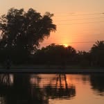 Barb Foote Satterfield - @barbfootesatterfield - Instagram