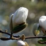 Barb Forbes - @barb.forbes.77 - Instagram