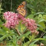 Barb Ford - @barbyjo54 - Instagram
