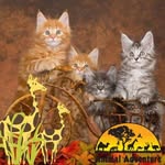 Barb Ford - @barb.ford.988 - Instagram