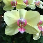 Barb Ford - @barbf5555 - Instagram