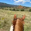 Funrider - @barbford2 - TikTok