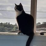 Barb Foreman - @barbaraforeman - Instagram