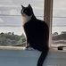 Barb Foreman - Facebook