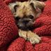 Barbara Foreman - Facebook