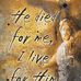 Barbara Foreman - Facebook