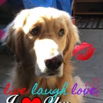 Barb Forrest - @barbforrest9 - Instagram