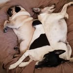 Barb J Forrest - @barbjforrest - Instagram