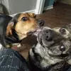 Barb Foster - @barb.foster3 - TikTok
